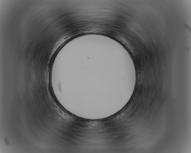 X0000091521130200709071010