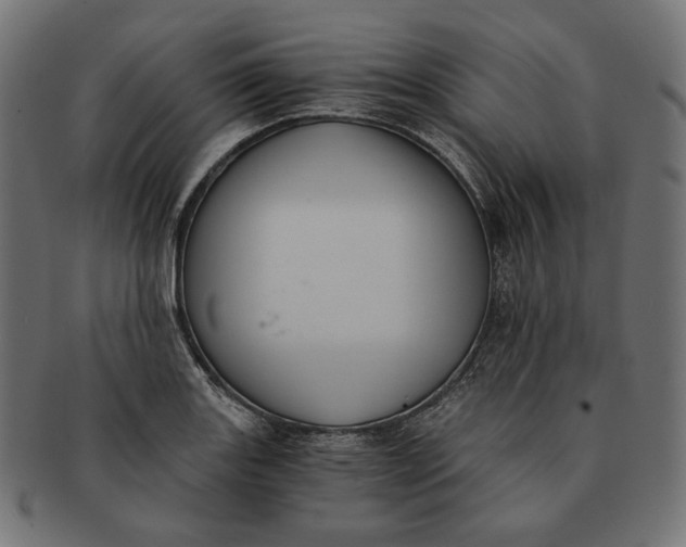 X0000091521131200709071010