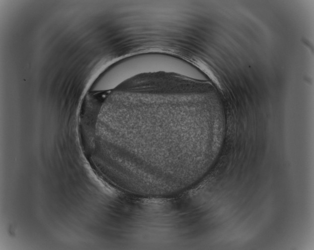 X0000091521132200709071010