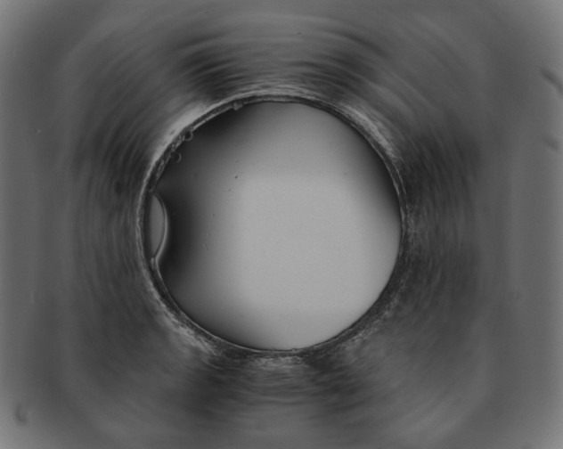 X0000091521133200709071010