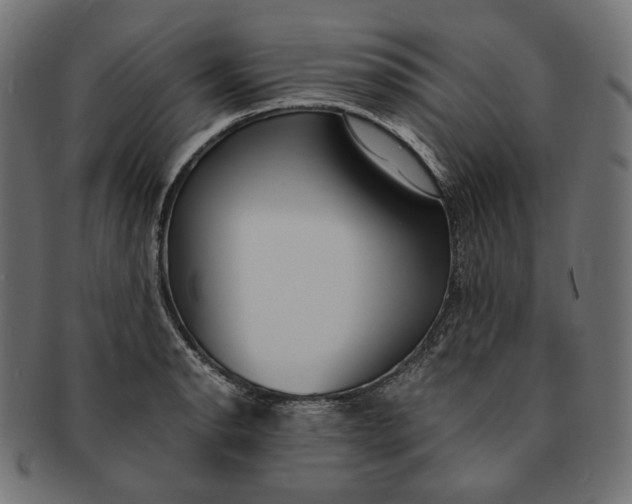 X0000091521134200709071010