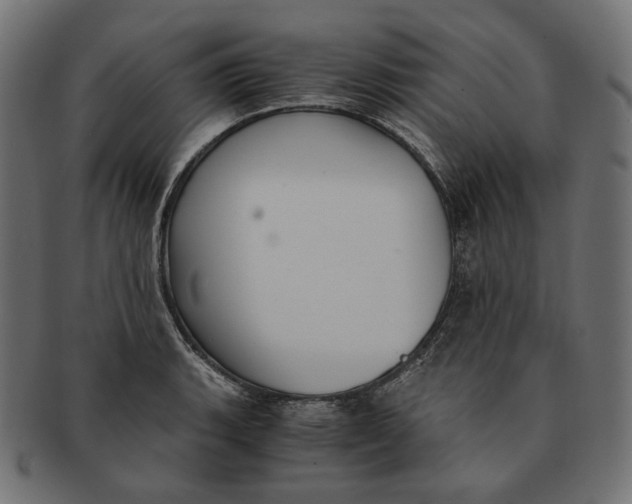 X0000091521135200709071010