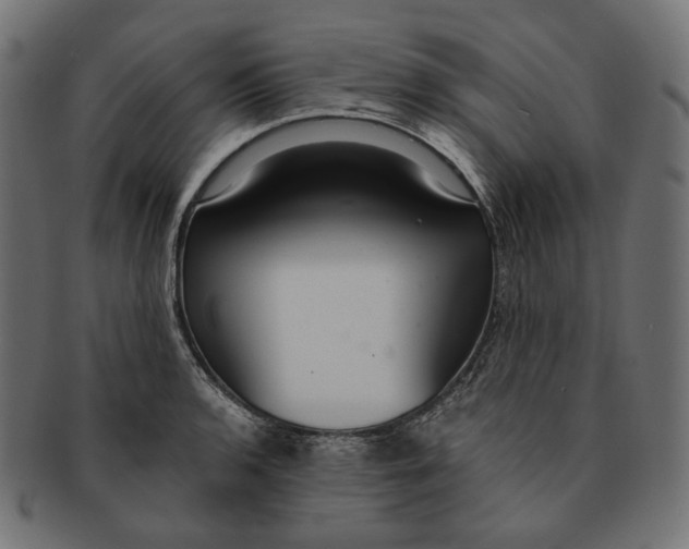 X0000091521136200709071010