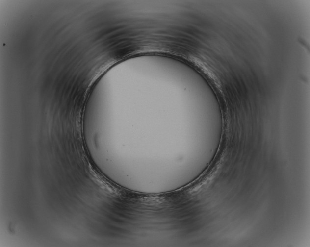 X0000091521137200709071011