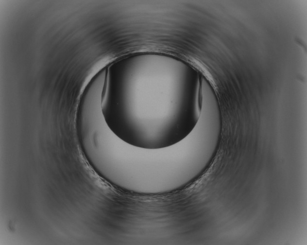 X0000091521138200709071011