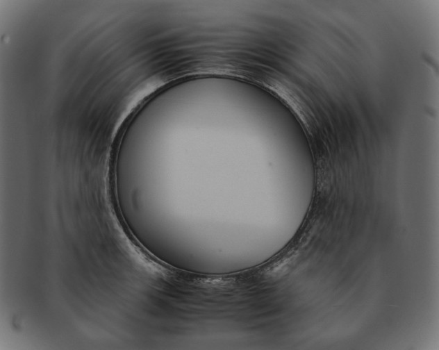 X0000091521139200709071011