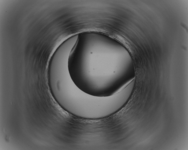 X0000091521140200709071011