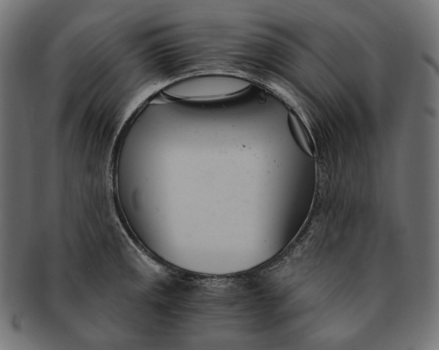 X0000091521141200709071011