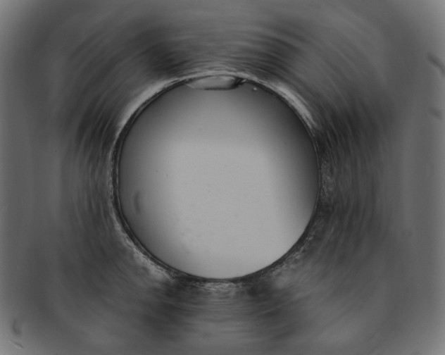 X0000091521142200709071011