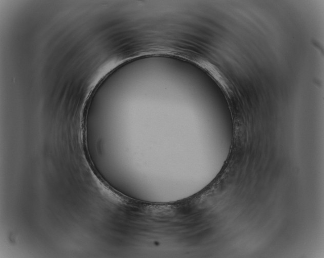 X0000091521143200709071011