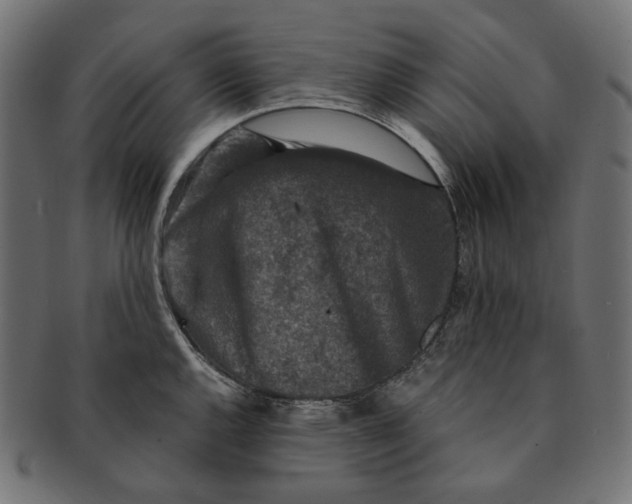 X0000091521144200709071011