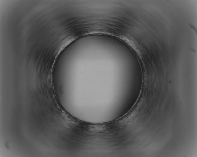 X0000091521145200709071011