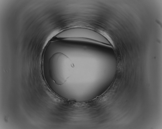 X0000091521146200709071011