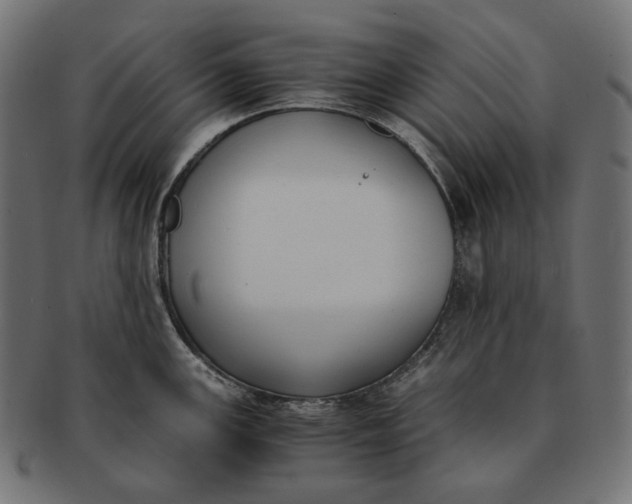 X0000091521147200709071011