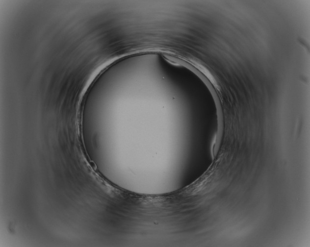 X0000091521148200709071011