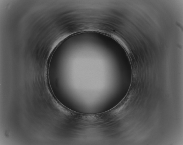 X0000091521149200709071011