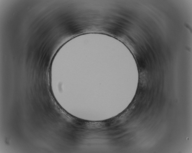 X0000091521150200709071011