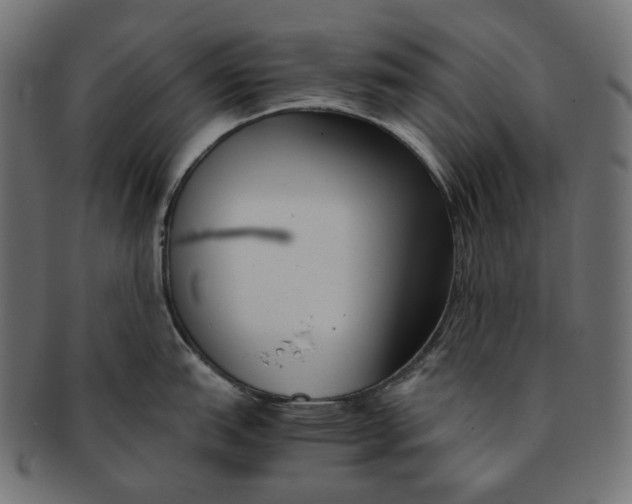 X0000091521151200709071011