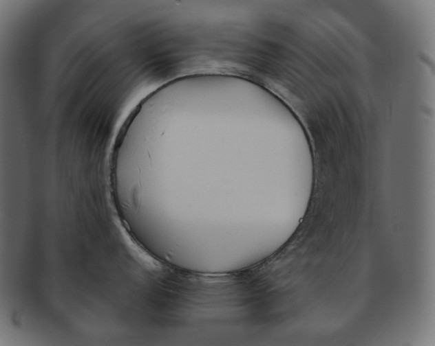 X0000091521152200709071011