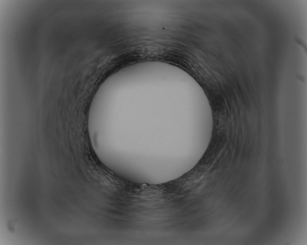 X0000091521153200709071010