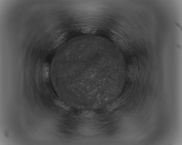 X0000091521154200709071010