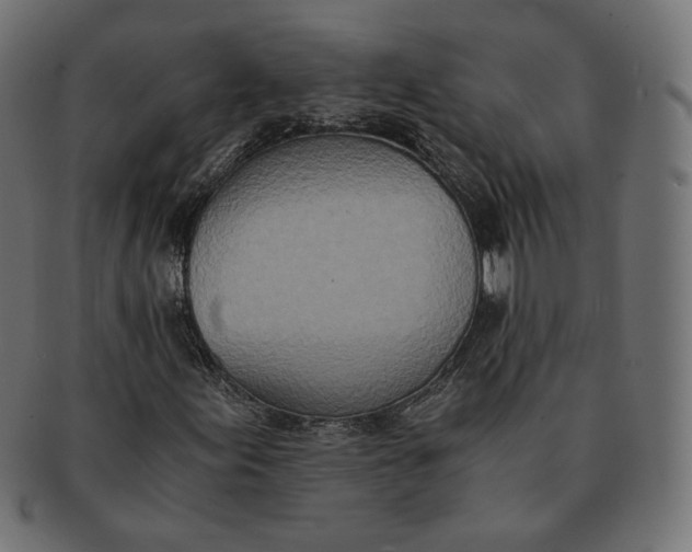 X0000091521155200709071010