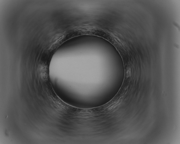 X0000091521156200709071010