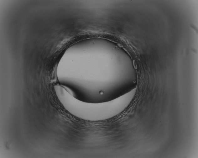 X0000091521157200709071010