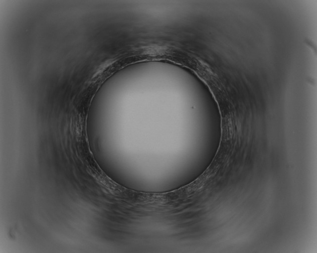 X0000091521158200709071010