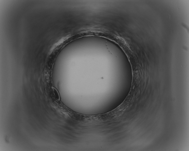 X0000091521159200709071010