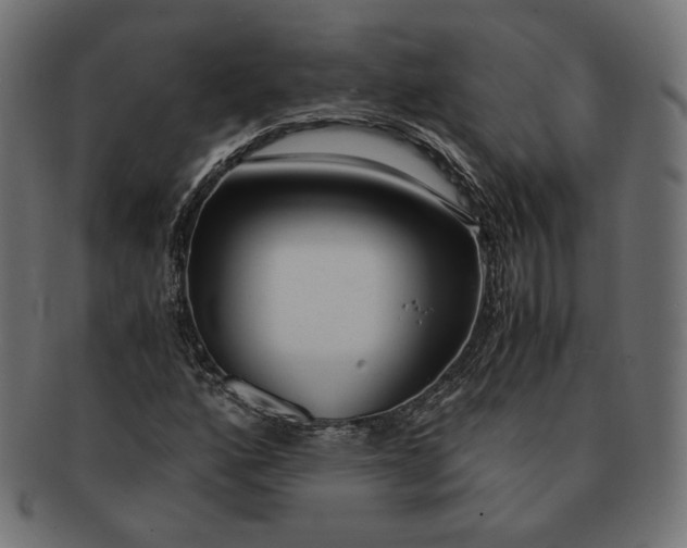 X0000091521160200709071010