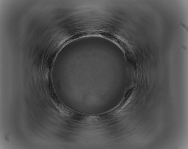 X0000091521161200709071010