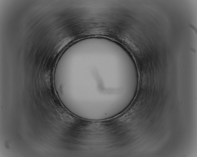 X0000091521162200709071010