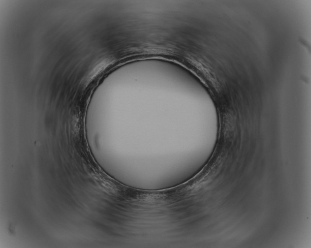 X0000091521163200709071010