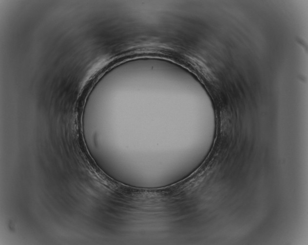 X0000091521164200709071010