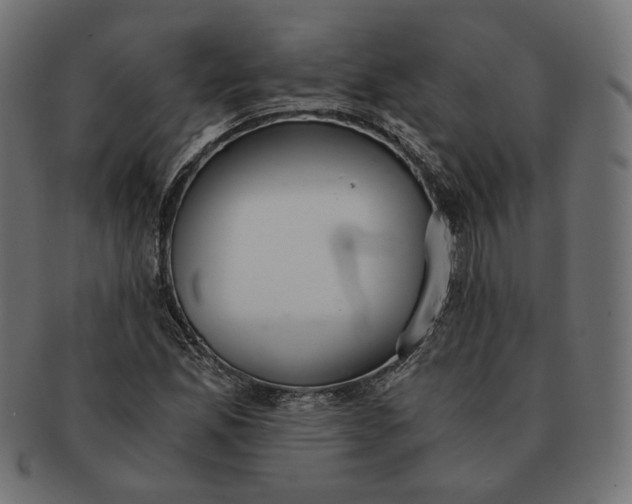 X0000091521165200709071010