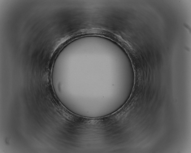 X0000091521166200709071010