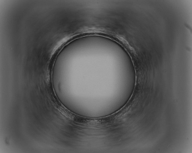 X0000091521167200709071010