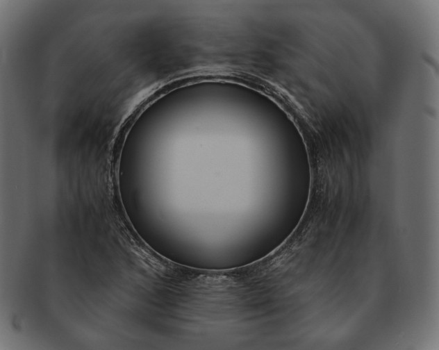 X0000091521168200709071010