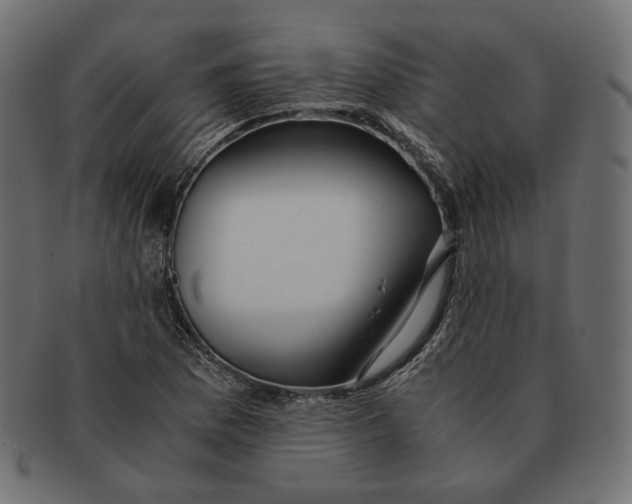 X0000091521169200709071010