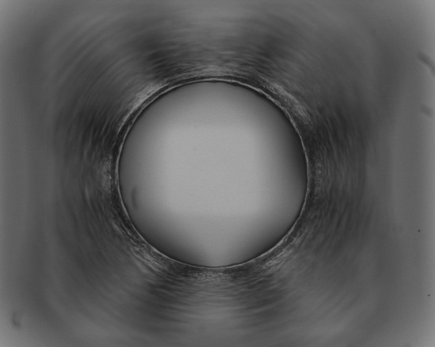 X0000091521170200709071010