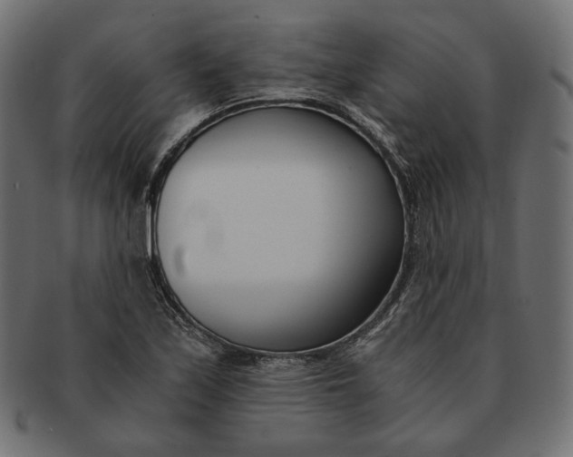 X0000091521171200709071010