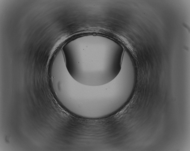 X0000091521172200709071010