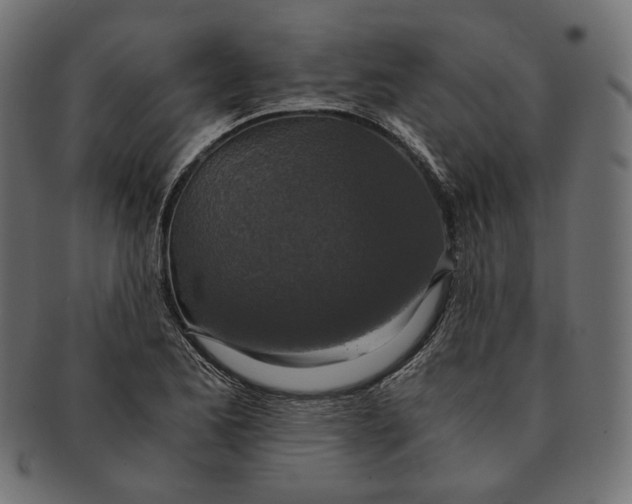 X0000091521173200709071010