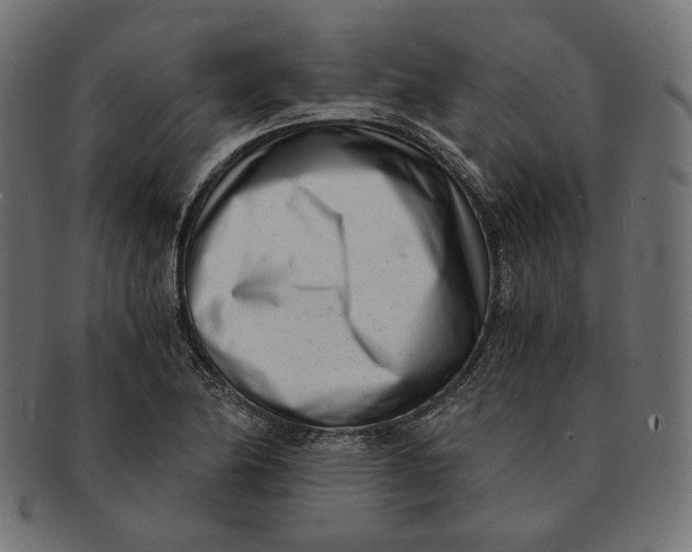 X0000091521174200709071010