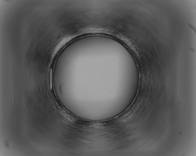 X0000091521175200709071010