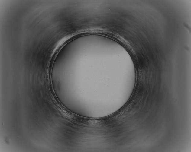 X0000091521176200709071010