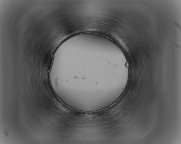 X0000091521177200709071010