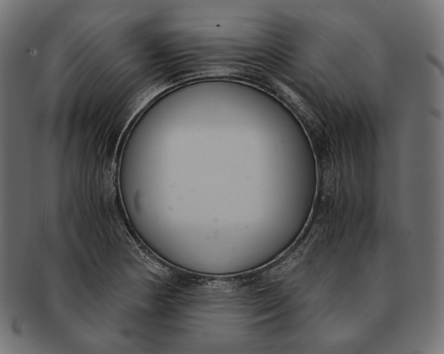 X0000091521178200709071010