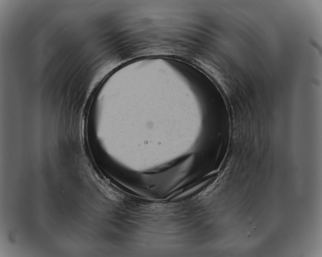 X0000091521179200709071010